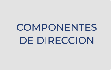 COMPONENTES DE DIRECCION